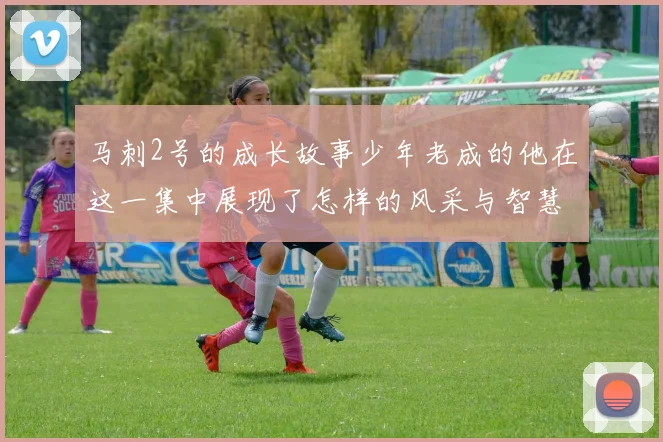 马刺2号的成长故事少年老成的他在这一集中展现了怎样的风采与智慧