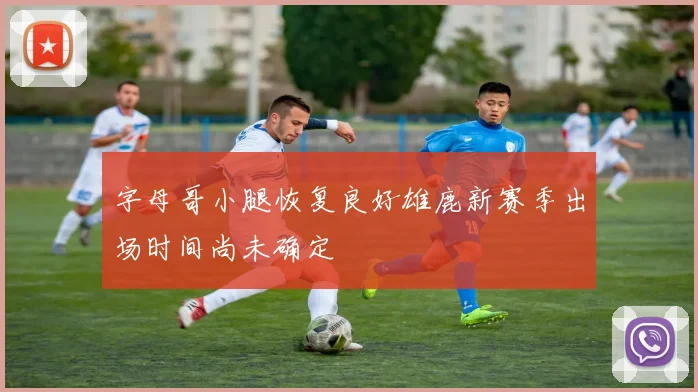 字母哥小腿恢复良好雄鹿新赛季出场时间尚未确定
